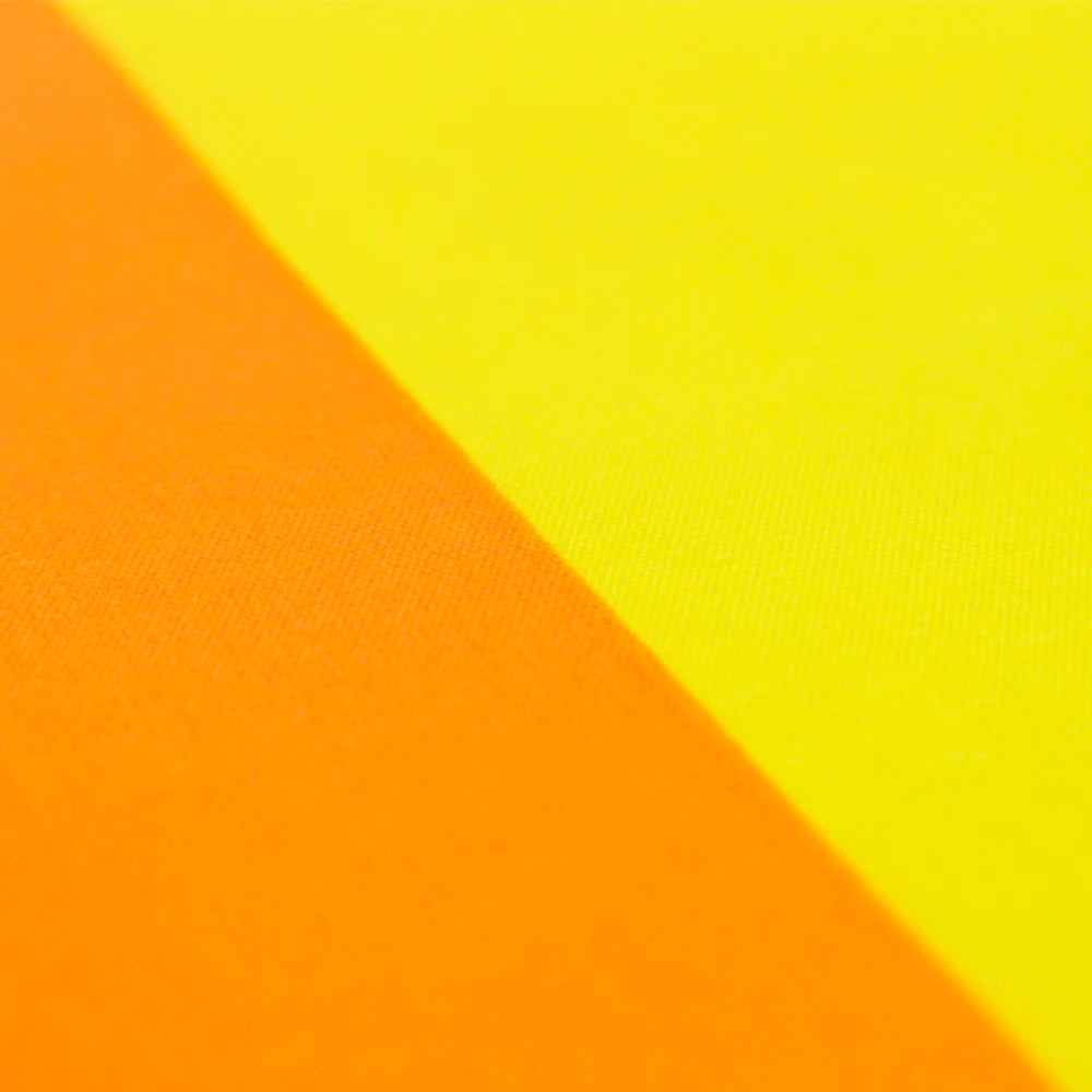 Gay Pride Flag