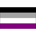 Gay Pride Flag